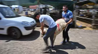 İzmir'de Kurban Bayramı'nda Hayvan Pazarlarında Yoğunluk