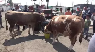 Konteyner kentte hüzünlü Kurban Bayramı