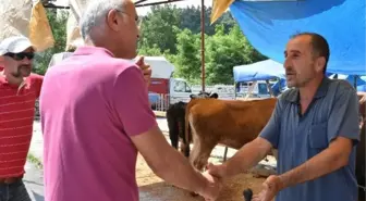 Ordu'da Kurban Bayramı'nda Sıkı Pazarlıklar Yaşandı