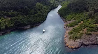 Sinop'un tabiat parkları yaz sezonunda ziyaretçi yoğunluğu bekliyor