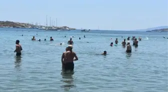 Bodrum'da Kurban Bayramı'nda Plajlarda Yoğunluk