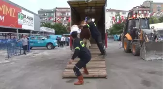 Kurban keserken dikkat... Avukat İbrahim Yavuzyaşar: 'Hayvana eziyet etmenin cezası 6 ay ila 3 yıl'