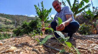 Mersin Büyükşehir Belediyesi, Passiflora Bitkisi Üretimine Destek Veriyor