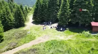 Binlerce vatandaş Uludağ'a akın etti