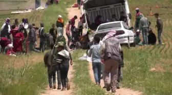 Mevsimlik Tarım İşçisi Çocuk ve Gençler Hayallerinden Uzakta, Tarlalarda Çalışıyor: 'Bir Kız Çocuğumu Okutabildim. Üniversiteyi Bitirdi Ama Benimle...