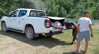 Tunceli'de Kaçak Balık Avlayanlara Cezai İşlem Uygulandı