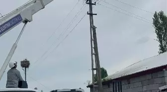 Açlıktan bitkin düşen yavru leylek vinçle kurtarıldı