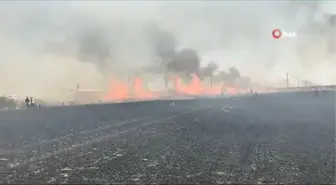 Buğday tarlası kül oldu