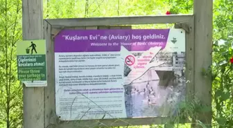 İzmir Doğal Yaşam Parkı'nda 77 kuş türü tespit edildi