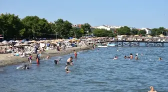 Şarköy'de Bayram Yoğunluğu