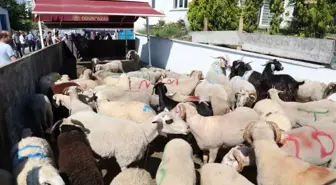 Odunpazarı Belediyesi Ücretsiz Kurban Kesim Yerleri Hazırladı