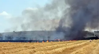 Edirne'de 360 Dönümlük Tarlada Yangın: Buğday ve Samanlar Yandı