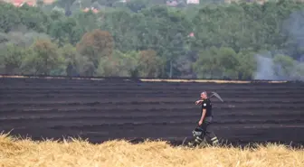 Edirne'de Buğday Ekili Tarlada Çıkan Yangında 30 Dönüm Alan Zarar Gördü