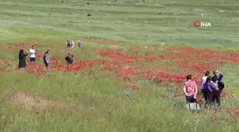 Şirankes 3 günde 20 bin kişiyi ağırladı