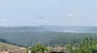 Sultangazi'de Hacı Bektaş-i Veli Kent Ormanı'nda Yangın Çıktı