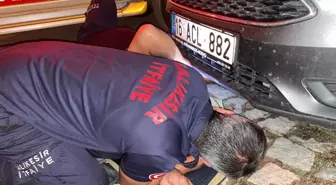 Ayvalık'ta park halindeki otomobilin motor bölümüne sıkışan kedi itfaiye tarafından kurtarıldı