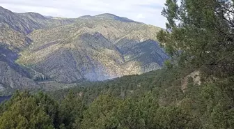 Eskişehir'de Yıldırım Kaynaklı Yangınlar