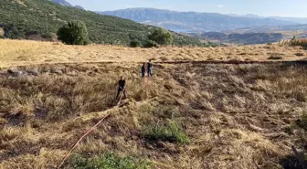 Giresun'da Buğday Tarlasında Yangın: Ekinler Zarar Gördü