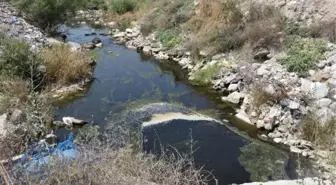 Tahtalı Çayı'na Dökülen Çöpler Doğa Kirliliğine Neden Oluyor