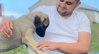 Eski Ağrı Belediye Başkanı Savcı Sayan'ın yeğeni Ali Sayan'ın cenazesi toprağa verildi