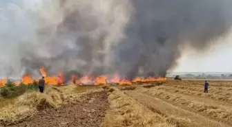 Tekirdağ'da Tarlada Çıkan Yangın 12 Dönüm Buğday Ekili Alanı Zarara Uğrattı