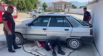 Yaramaz kedi itfaiye ekiplerini harekete geçirdi