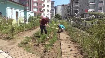 AtaTohum'da yazlık fideler toprakla buluştu