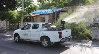 Bayraklı Belediyesi Sivrisinek ve Haşere İlaçlama Çalışmalarını Hızlandırdı