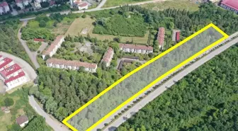 Samsun'un Çarşamba ilçesine yeni mesire alanı kazandırılıyor