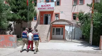 Elazığ'da Büyükbaş Hayvan Hırsızı Tutuklandı