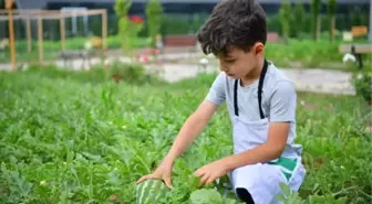 Fatih Belediyesi Yaz Atölyeleri Başladı