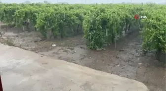 Manisa'da şiddetli yağış hayatı olumsuz etkiledi