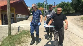 Zonguldak'ta Şap Hastalığı Nedeniyle 136 Köy Karantina Altına Alındı