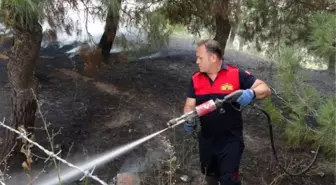 Keşan'da Sanayi Sitesinde Çıkan Yangın Söndürüldü