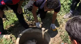 Erzincan'da Mahsur Kalan İnek İtfaiye Ekipleri Tarafından Kurtarıldı