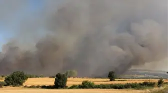 Keşan'da Buğday Ekili Arazide Yangın Çıktı