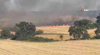 Keşan'da tarlada çıkan yangında 2 bin dönüme yakın arazi zarar gördü