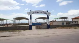 Beyşehir Hayvan Pazarı Şap Hastalığı Nedeniyle Kapatıldı