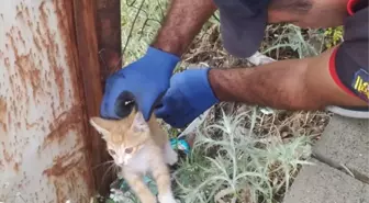 Bingöl'de Tellere Sıkışan Yavru Kedi İtfaiye Tarafından Kurtarıldı