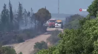 İzmir'deki orman yangınında vatandaşlar denizden tahliye ediliyor