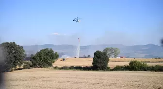 Keşan'da 1200 Dönüm Buğday Ekili Alan Yangında Zarar Gördü