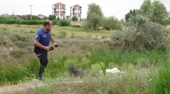 Aksaray'da Av Tüfeği ile Köpek Öldüren Şahıs Yakalandı