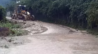 Ünye'de Sağanak Nedeniyle Yollar ve Tarım Arazileri Zarar Gördü