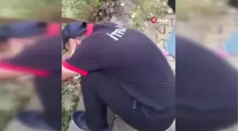 Tellere sıkışan yavru kediyi itfaiye kurtardı