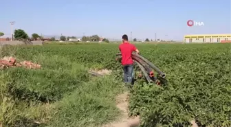 Afyonkarahisar'ın Fenomen Çiftçisi