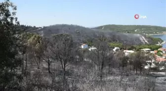 İzmir'deki orman yangınlarında soğutma çalışmaları sürüyor