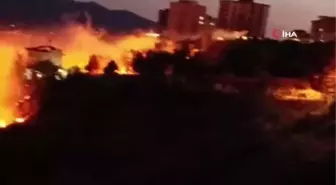 Kahramanmaraş'ta 7 dönümlük zeytinlik arazi yangında kül oldu