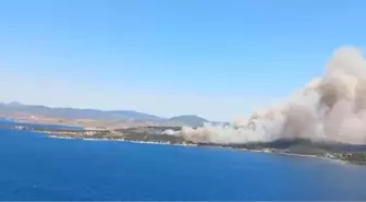 İzmir'de çıkan orman yangınıyla ilgili 2 şüpheli gözaltına alındı