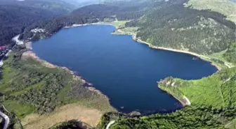 Bolu'da Ormanlara Giriş ve Ateş Yakma Yasaklandı