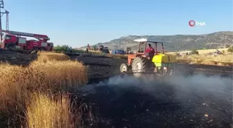 Elektrik direğinden çıkan yangında 8 dönüm arazi kül oldu